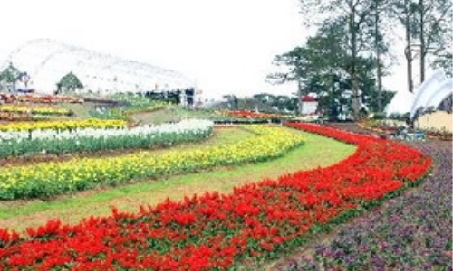 Không gian Trường Sa sẽ đến Festival Hoa Đà Lạt